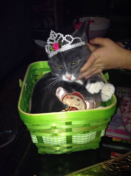 morning picdump 54 pics 6.html - 54 HD Photos | Premium Gallery 2014