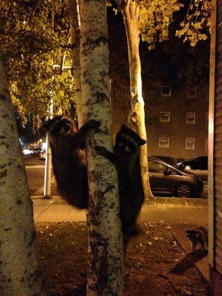 morning picdump 54 pics 6.html - 54 HD Photos | Premium Gallery 2014