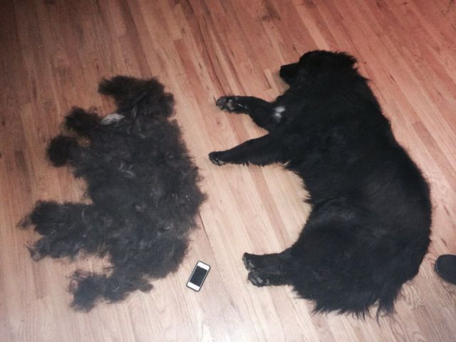 morning picdump 54 pics 6.html - 54 HD Photos | Premium Gallery 2014