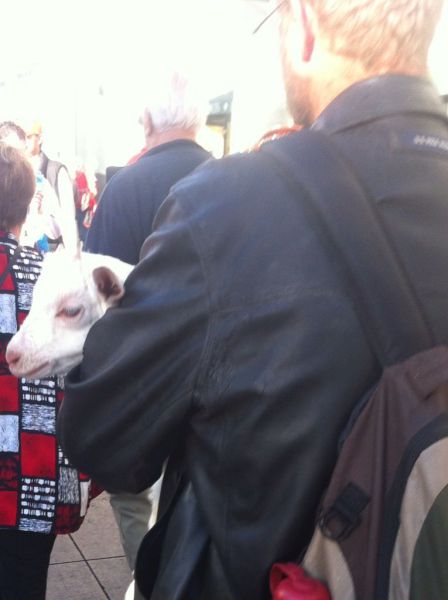 morning picdump 54 pics 6.html - 54 HD Photos | Premium Gallery 2014