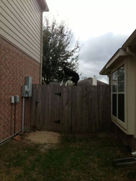 morning picdump 56 pics 18.html - 56 HD Photos | Premium Gallery 2014