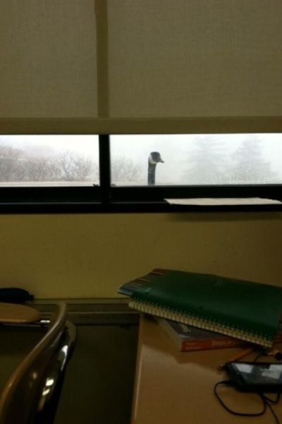 morning picdump 56 pics 18.html - 56 HD Photos | Premium Gallery 2014