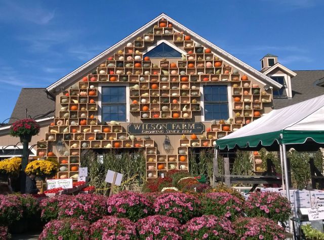 morning picdump 56 pics 18.html - 56 HD Photos | Premium Gallery 2014