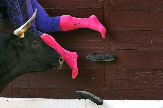 morning picdump 56 pics 18.html - 56 HD Photos | Premium Gallery 2014