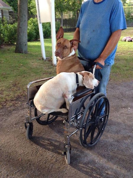 morning picdump 58 pics 49.html - 58 HD Photos | Premium Gallery 2014