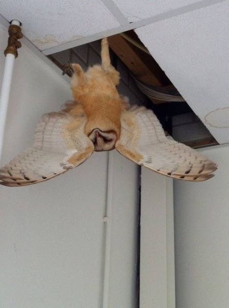 morning picdump 58 pics 49.html - 58 HD Photos | Premium Gallery 2014