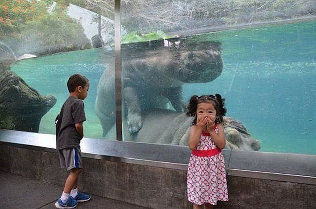 morning picdump 52 pics 52.html - 52 HD Photos | Premium Gallery 2014