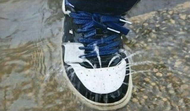 morning picdump 52 pics 52.html - 52 HD Photos | Premium Gallery 2014