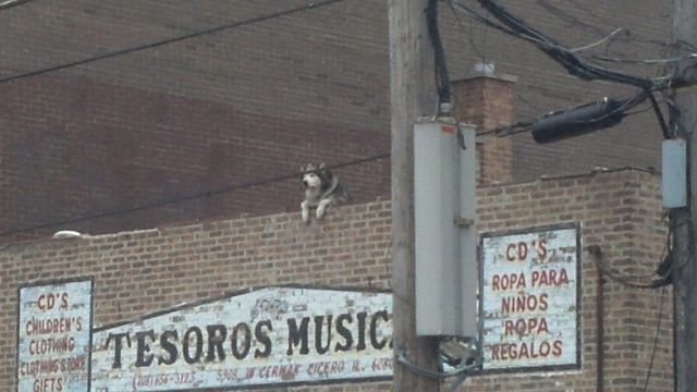 morning picdump 52 pics 52.html - 52 HD Photos | Premium Gallery 2014