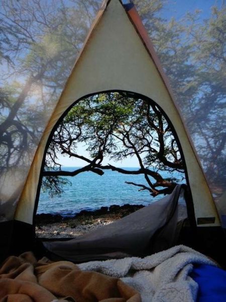 morning picdump 52 pics 52.html - 52 HD Photos | Premium Gallery 2014