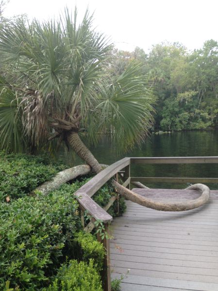 morning picdump 52 pics 52.html - 52 HD Photos | Premium Gallery 2014