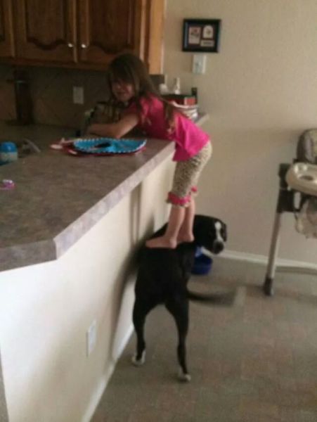 morning picdump 52 pics 52.html - 52 HD Photos | Premium Gallery 2014