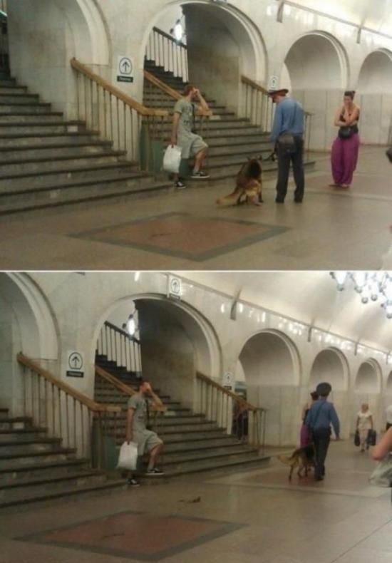 morning picdump 53 pics 2.html - 53 HD Photos | Premium Gallery 2014