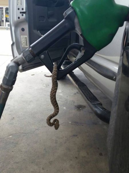 morning picdump 56 pics 14.html - 56 HD Photos | Premium Gallery 2014