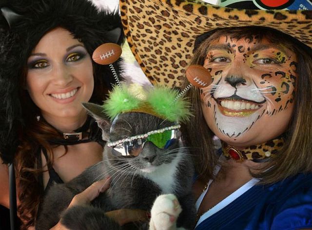 morning picdump 56 pics 14.html - 56 HD Photos | Premium Gallery 2014