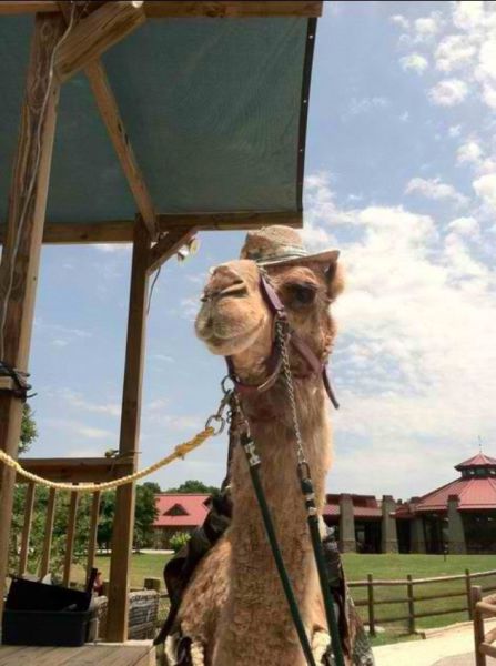 morning picdump 56 pics 14.html - 56 HD Photos | Premium Gallery 2014