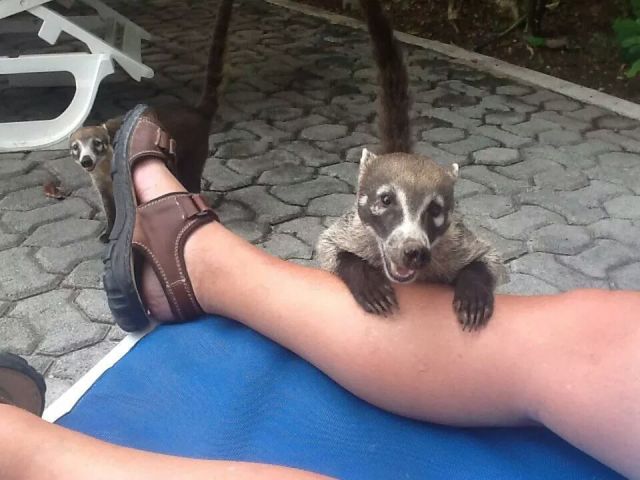 daily picdump 106 pics 38.html - 106 HD Photos | Premium Gallery 2014