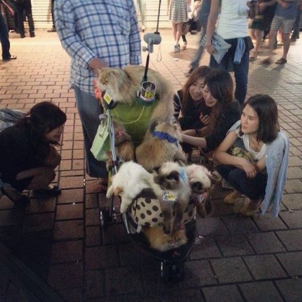 daily picdump 106 pics 38.html - 106 HD Photos | Premium Gallery 2014