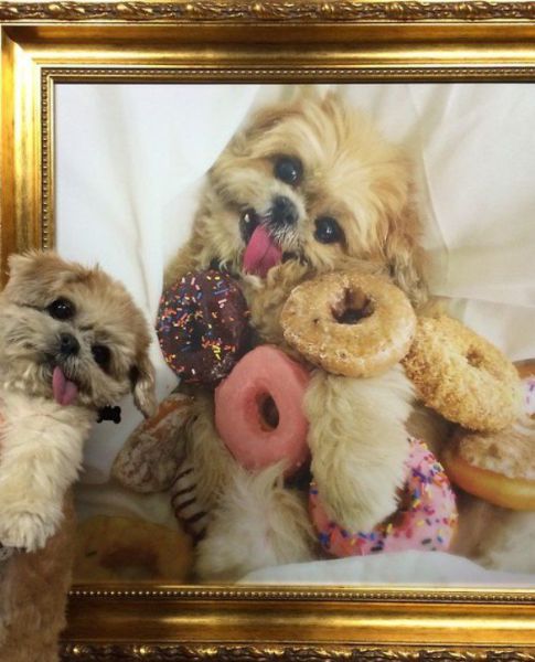 morning picdump 58 pics 1.html - 58 HD Photos | Premium Gallery 2014