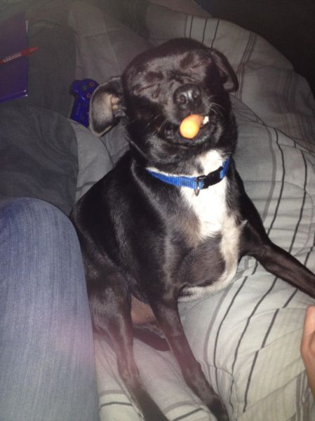 morning picdump 58 pics 1.html - 58 HD Photos | Premium Gallery 2014