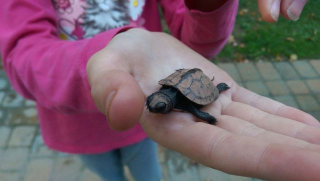 morning picdump 58 pics 1.html - 58 HD Photos | Premium Gallery 2014