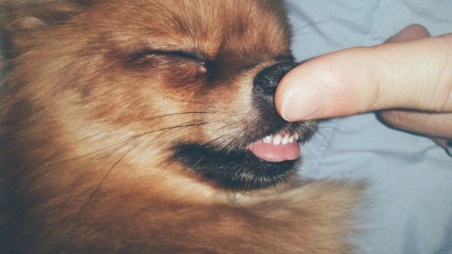 daily picdump 99 pics 11.html - 99 HD Photos | Premium Gallery 2014