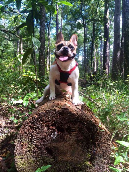 daily picdump 99 pics 11.html - 99 HD Photos | Premium Gallery 2014