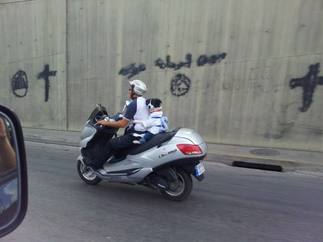 daily picdump 99 pics 11.html - 99 HD Photos | Premium Gallery 2014