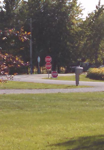 daily picdump 99 pics 11.html - 99 HD Photos | Premium Gallery 2014