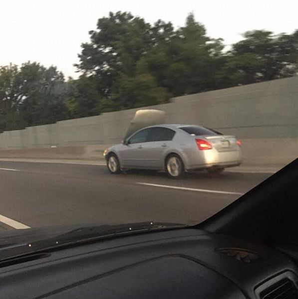 daily picdump 99 pics 11.html - 99 HD Photos | Premium Gallery 2014