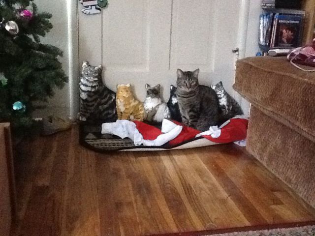 daily picdump 99 pics 11.html - 99 HD Photos | Premium Gallery 2014