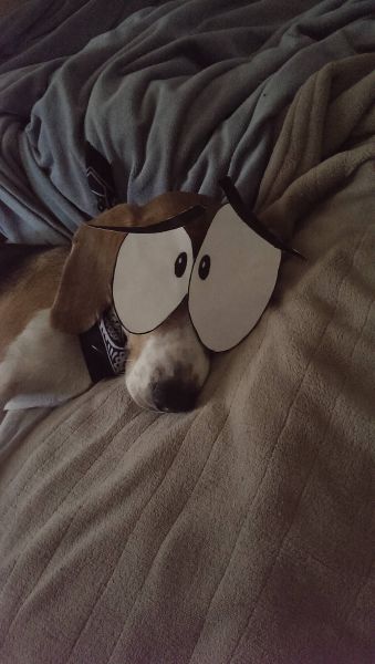 morning picdump 56 pics 3.html - 56 HD Photos | Premium Gallery 2014