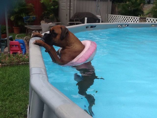 morning picdump 56 pics 3.html - 56 HD Photos | Premium Gallery 2014