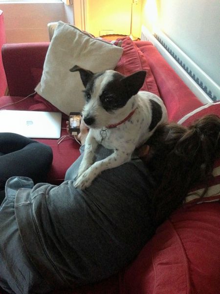 morning picdump 56 pics 3.html - 56 HD Photos | Premium Gallery 2014