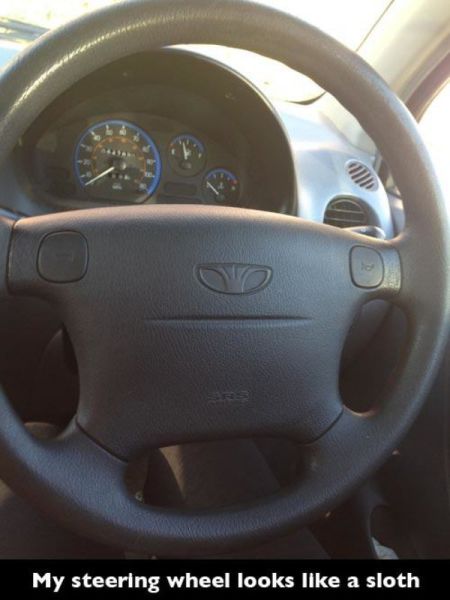 Just Wait Until You See It…