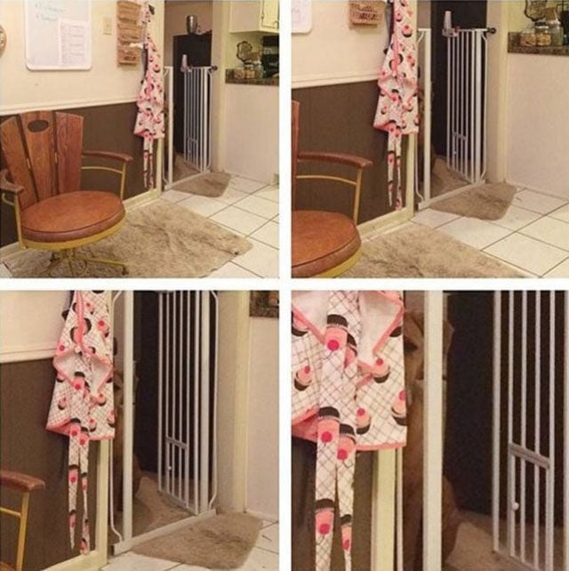 Just Wait Until You See It…