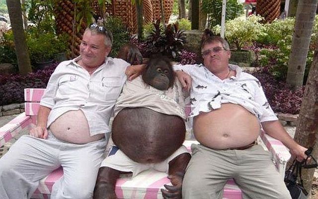 morning picdump 54 pics 3.html - 54 HD Photos | Premium Gallery 2014