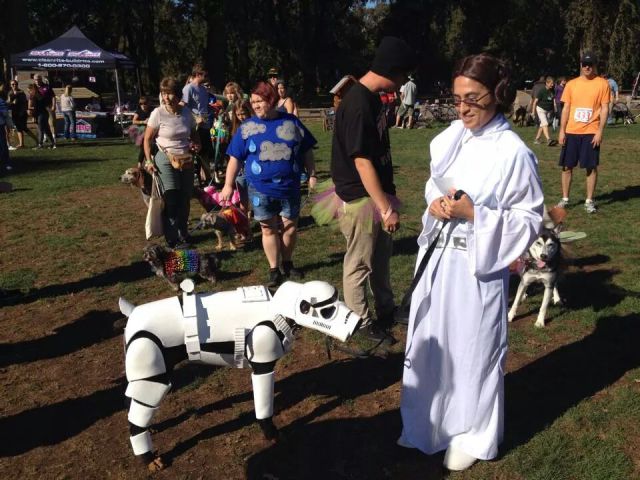 morning picdump 56 pics 19.html - 56 HD Photos | Premium Gallery 2014