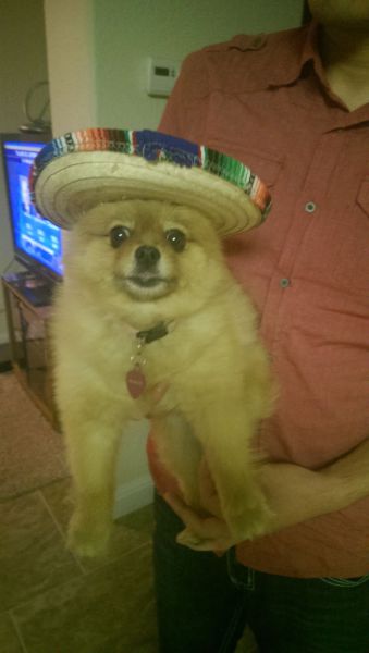 morning picdump 56 pics 19.html - 56 HD Photos | Premium Gallery 2014