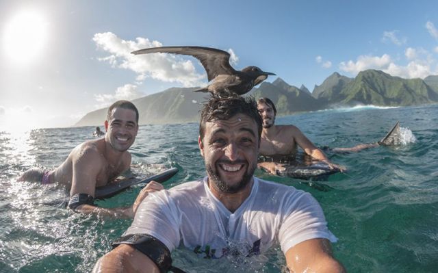 daily picdump 96 pics 39.html - 96 HD Photos | Premium Gallery 2014