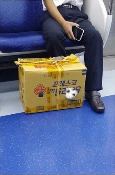 daily picdump 96 pics 39.html - 96 HD Photos | Premium Gallery 2014