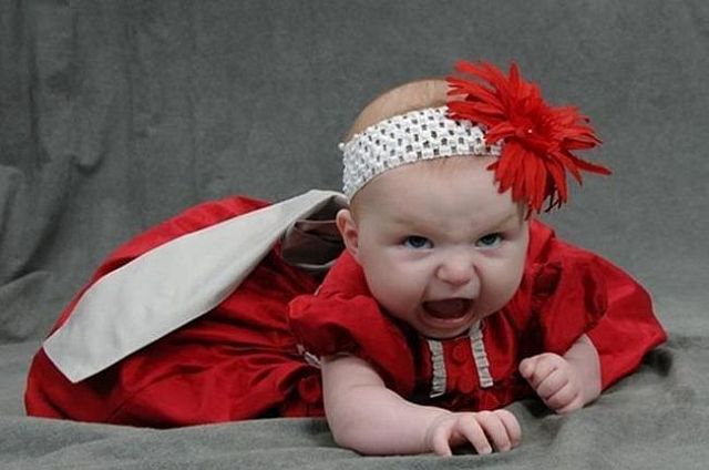 daily picdump 96 pics 39.html - 96 HD Photos | Premium Gallery 2014