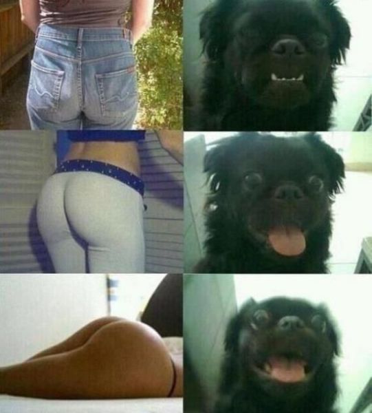 morning picdump 53 pics 47.html - 53 HD Photos | Premium Gallery 2014