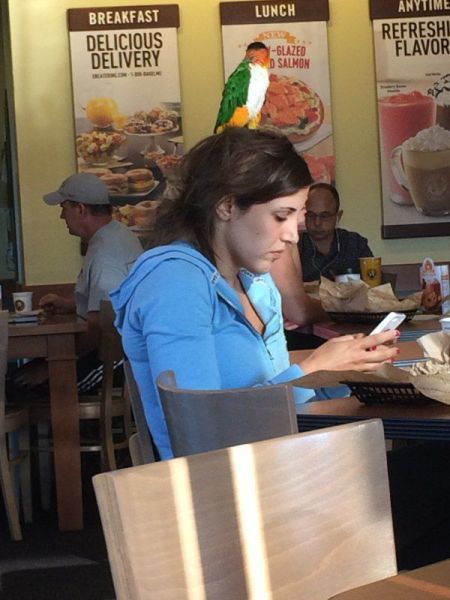 morning picdump 53 pics 47.html - 53 HD Photos | Premium Gallery 2014