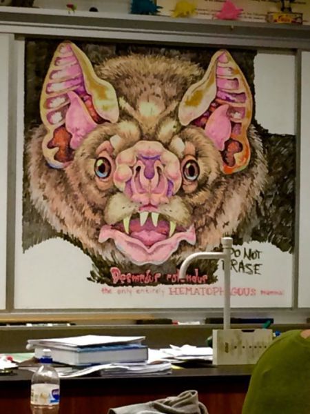 morning picdump 53 pics 47.html - 53 HD Photos | Premium Gallery 2014