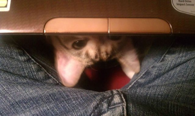 morning picdump 53 pics 47.html - 53 HD Photos | Premium Gallery 2014