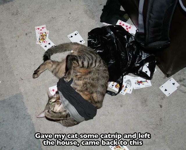 morning picdump 55 pics 14.html - 55 HD Photos | Premium Gallery 2014