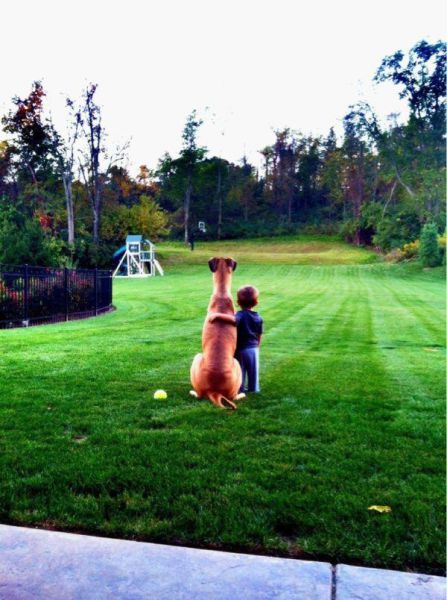 morning picdump 55 pics 14.html - 55 HD Photos | Premium Gallery 2014