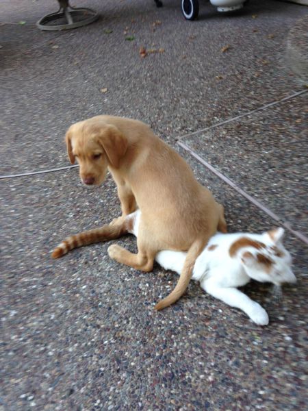 morning picdump 55 pics 14.html - 55 HD Photos | Premium Gallery 2014