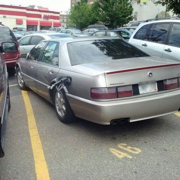 morning picdump 55 pics 14.html - 55 HD Photos | Premium Gallery 2014